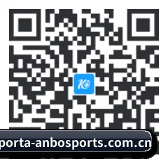 iPad 高清版 二维码 | Anbo